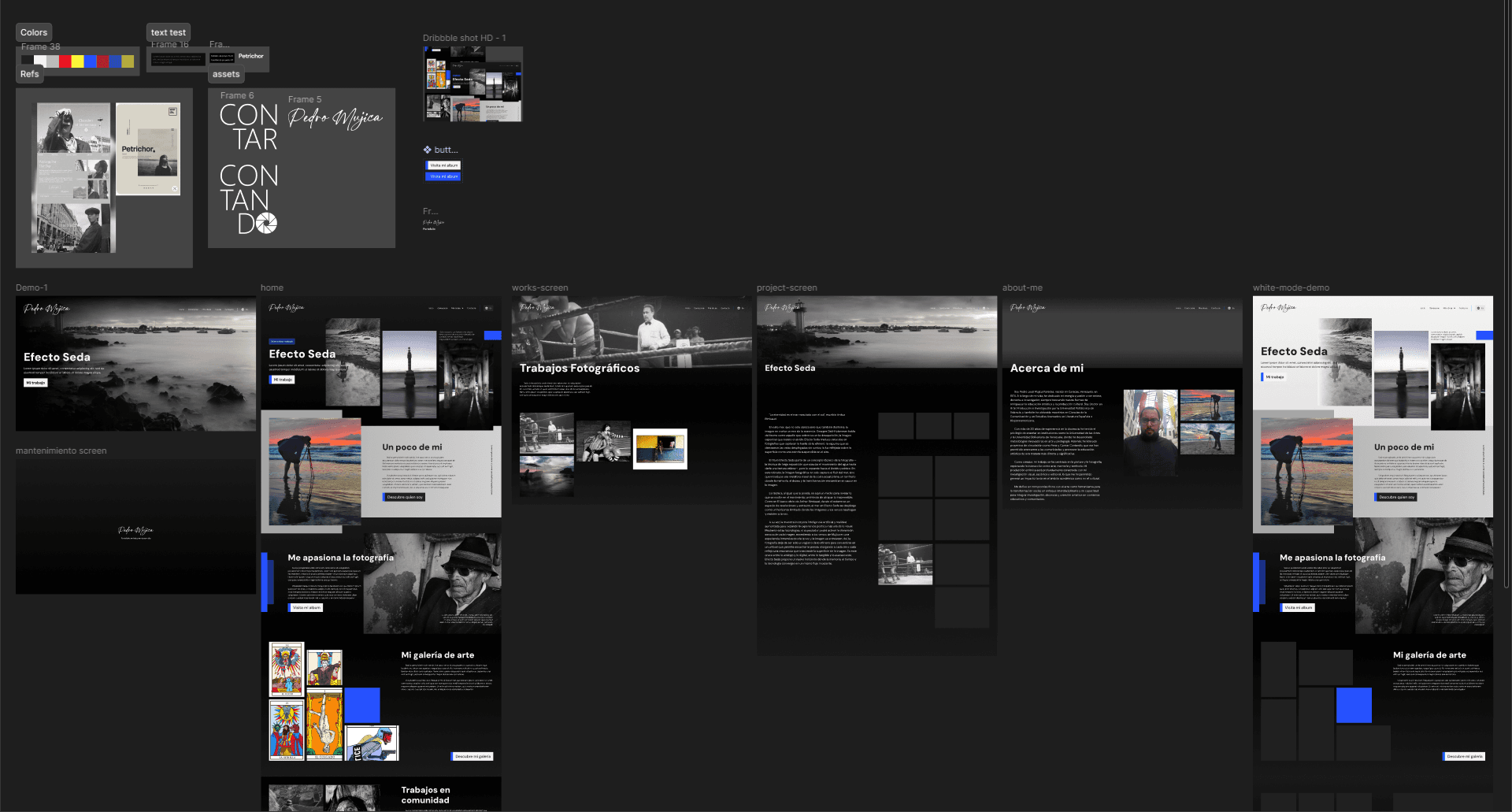 Pedro Mujica's Portfolio